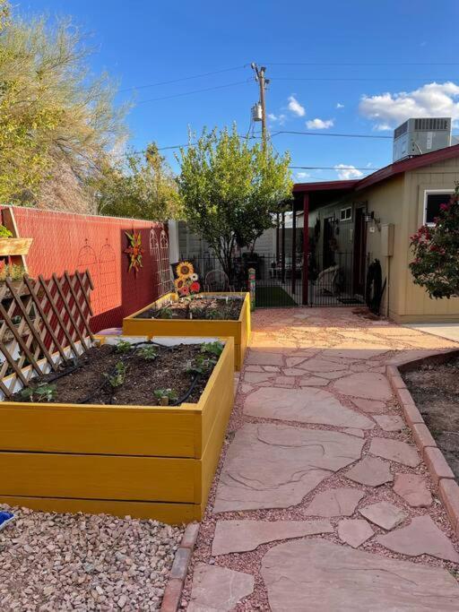 Encanto Cactus Flower Casita フェニックス エクステリア 写真